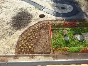 N - Revitalizace zahrady
