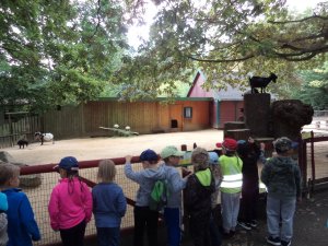 SRN - Společné setkání - Zoo Žitava - Září 2019