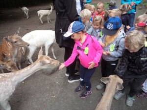 SRN - Společné setkání - Zoo Žitava - Září 2019