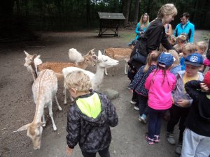 SRN - Zoo Zittau - Květen 2019