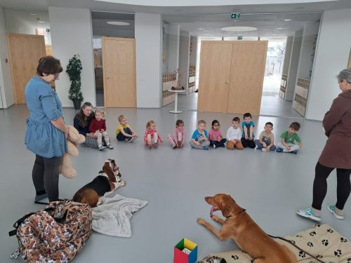 Třída Kometky-Canisterapie únor 2026