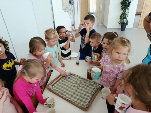 IMG 20260616 112106