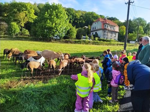 Planetky- Výlet za ovečkami